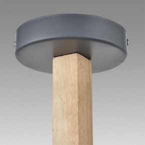 Люстра на штанге Lumion Colange 8096/3C в Тобольске - tobolsk.mebel24.online | фото 9