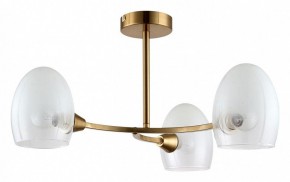 Люстра на штанге Lumion Kendall 6514/3C в Тобольске - tobolsk.mebel24.online | фото
