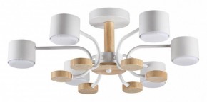 Люстра на штанге Lumion Rondo 8231/6C в Тобольске - tobolsk.mebel24.online | фото
