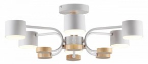 Люстра на штанге Lumion Rondo 8231/6C в Тобольске - tobolsk.mebel24.online | фото 2