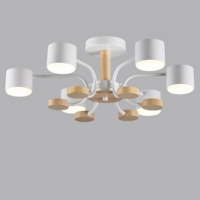 Люстра на штанге Lumion Rondo 8231/6C в Тобольске - tobolsk.mebel24.online | фото 4