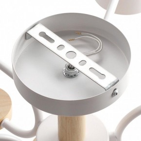 Люстра на штанге Lumion Rondo 8231/6C в Тобольске - tobolsk.mebel24.online | фото 6