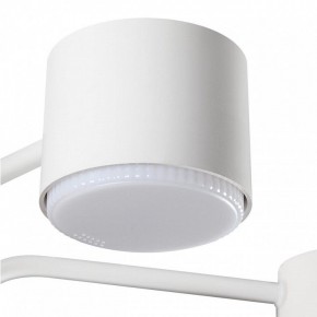Люстра на штанге Lumion Rondo 8231/6C в Тобольске - tobolsk.mebel24.online | фото 7