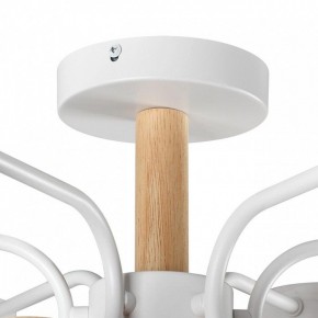 Люстра на штанге Lumion Rondo 8231/6C в Тобольске - tobolsk.mebel24.online | фото 8