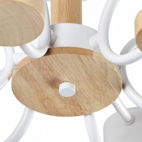 Люстра на штанге Lumion Rondo 8231/6C в Тобольске - tobolsk.mebel24.online | фото 9
