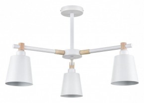 Люстра на штанге Lumion Rosalina 8097/3C в Тобольске - tobolsk.mebel24.online | фото