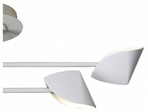 Люстра на штанге Mantra Capuccina 7574 в Тобольске - tobolsk.mebel24.online | фото 3