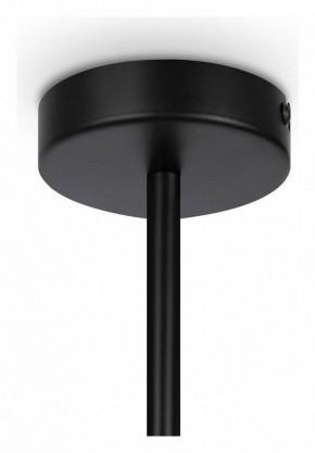 Люстра на штанге Maytoni Memory MOD177PL-04B в Тобольске - tobolsk.mebel24.online | фото 4