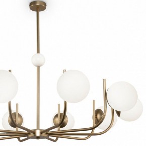 Люстра на штанге Maytoni Rendez-vous MOD109PL-10BS в Тобольске - tobolsk.mebel24.online | фото 3
