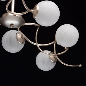 Люстра на штанге MW-Light Оливия 5 306012709 в Тобольске - tobolsk.mebel24.online | фото 10
