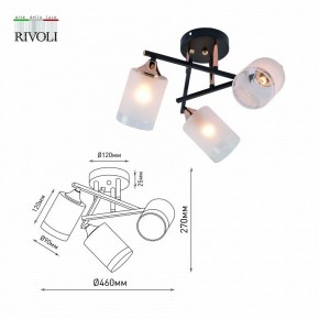 Люстра на штанге Rivoli Fiona Б0059259 в Тобольске - tobolsk.mebel24.online | фото