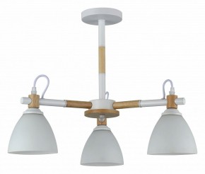 Люстра на штанге Rivoli Louise Б0060982 в Тобольске - tobolsk.mebel24.online | фото