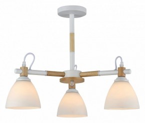 Люстра на штанге Rivoli Louise Б0060982 в Тобольске - tobolsk.mebel24.online | фото 2