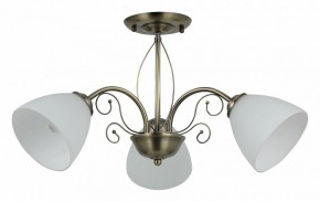 Люстра на штанге Rivoli Sue Б0060985 в Тобольске - tobolsk.mebel24.online | фото