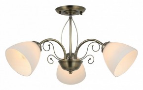 Люстра на штанге Rivoli Sue Б0060985 в Тобольске - tobolsk.mebel24.online | фото 2