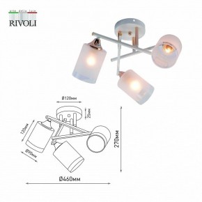 Люстра на штанге Rivoli Tammy Б0059258 в Тобольске - tobolsk.mebel24.online | фото