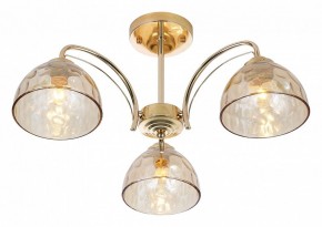 Люстра на штанге Rivoli Terri Б0060988 в Тобольске - tobolsk.mebel24.online | фото