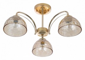 Люстра на штанге Rivoli Terri Б0060988 в Тобольске - tobolsk.mebel24.online | фото 2