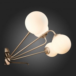 Люстра на штанге ST-Luce Redjino SLE106203-12 в Тобольске - tobolsk.mebel24.online | фото 7