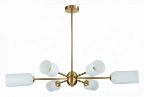Люстра на штанге ST-Luce Treviso SL1180.202.06 в Тобольске - tobolsk.mebel24.online | фото 2