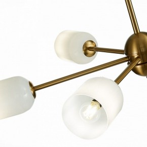 Люстра на штанге ST-Luce Treviso SL1180.202.06 в Тобольске - tobolsk.mebel24.online | фото 4