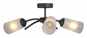 Люстра на штанге Vitaluce V2850 V2850-1/3PL в Тобольске - tobolsk.mebel24.online | фото