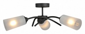 Люстра на штанге Vitaluce V2850 V2850-1/3PL в Тобольске - tobolsk.mebel24.online | фото 3