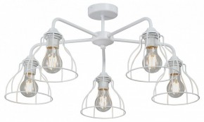 Люстра на штанге Vitaluce V3102 V3102-0/5PL в Тобольске - tobolsk.mebel24.online | фото