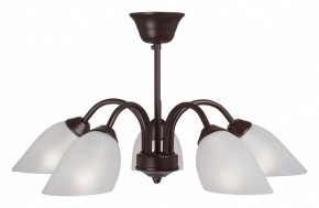 Люстра на штанге Vitaluce V3335 V3335-7/5PL в Тобольске - tobolsk.mebel24.online | фото