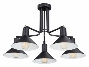 Люстра на штанге Vitaluce V4809 V4809-1/5PL в Тобольске - tobolsk.mebel24.online | фото