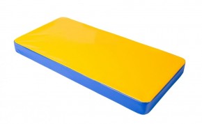 Мат гимнастический 1х0,5х0,08м цв. синий-желтый в Тобольске - tobolsk.mebel24.online | фото 1