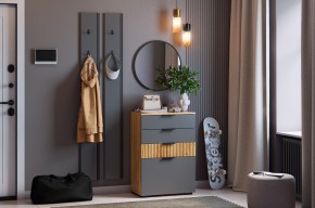МЕБЕЛЬСОН К21 Прихожая  (графит) в Тобольске - tobolsk.mebel24.online | фото