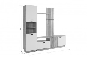 МОДИ Гостиная (модульная) белое дерево в Тобольске - tobolsk.mebel24.online | фото 2