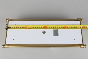 Накладной светильник Aployt Zoe APL.806.01.02 в Тобольске - tobolsk.mebel24.online | фото 9