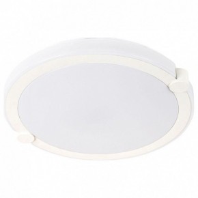 Накладной светильник Arte Lamp Biscotti A2679PL-72WH в Тобольске - tobolsk.mebel24.online | фото