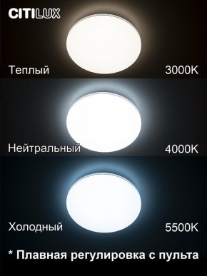 Накладной светильник Citilux Симпла CL714330G в Тобольске - tobolsk.mebel24.online | фото 4