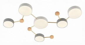 Накладной светильник EVOLUCE Dossena SLE600102-06 в Тобольске - tobolsk.mebel24.online | фото 3