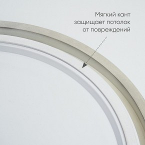 Накладной светильник Feron AL6200 48071 в Тобольске - tobolsk.mebel24.online | фото 5