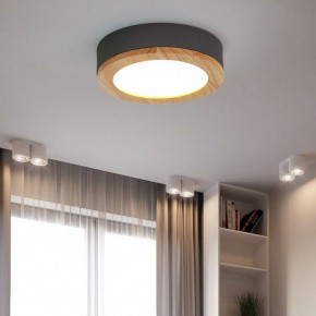 Накладной светильник Imperiumloft Wudda Серый WUDDA01 в Тобольске - tobolsk.mebel24.online | фото 4