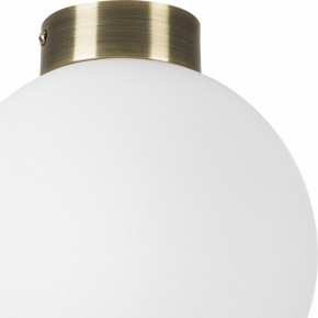 Накладной светильник Lightstar Globo 812021 в Тобольске - tobolsk.mebel24.online | фото 3