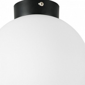 Накладной светильник Lightstar Globo 812027 в Тобольске - tobolsk.mebel24.online | фото 2