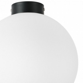 Накладной светильник Lightstar Globo 812037 в Тобольске - tobolsk.mebel24.online | фото 3