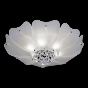 Накладной светильник Lightstar Lobo 804020 в Тобольске - tobolsk.mebel24.online | фото 2