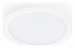 Накладной светильник Lightstar Urbano 216902 в Тобольске - tobolsk.mebel24.online | фото 1