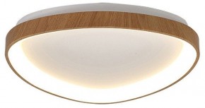 Накладной светильник Mantra Niseko 8632 в Тобольске - tobolsk.mebel24.online | фото