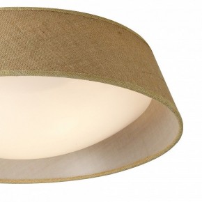 Накладной светильник Mantra Sabina 6413 в Тобольске - tobolsk.mebel24.online | фото 3