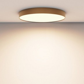 Накладной светильник Maytoni Zon C032CL-90W3K-RD-MG в Тобольске - tobolsk.mebel24.online | фото 4