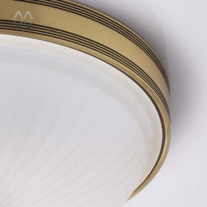 Накладной светильник MW-Light Ангел 12 295013402 в Тобольске - tobolsk.mebel24.online | фото 7