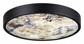 Накладной светильник Odeon Light Bergi 5064/24L в Тобольске - tobolsk.mebel24.online | фото 4