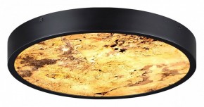 Накладной светильник Odeon Light Bergi 5064/24L в Тобольске - tobolsk.mebel24.online | фото 5